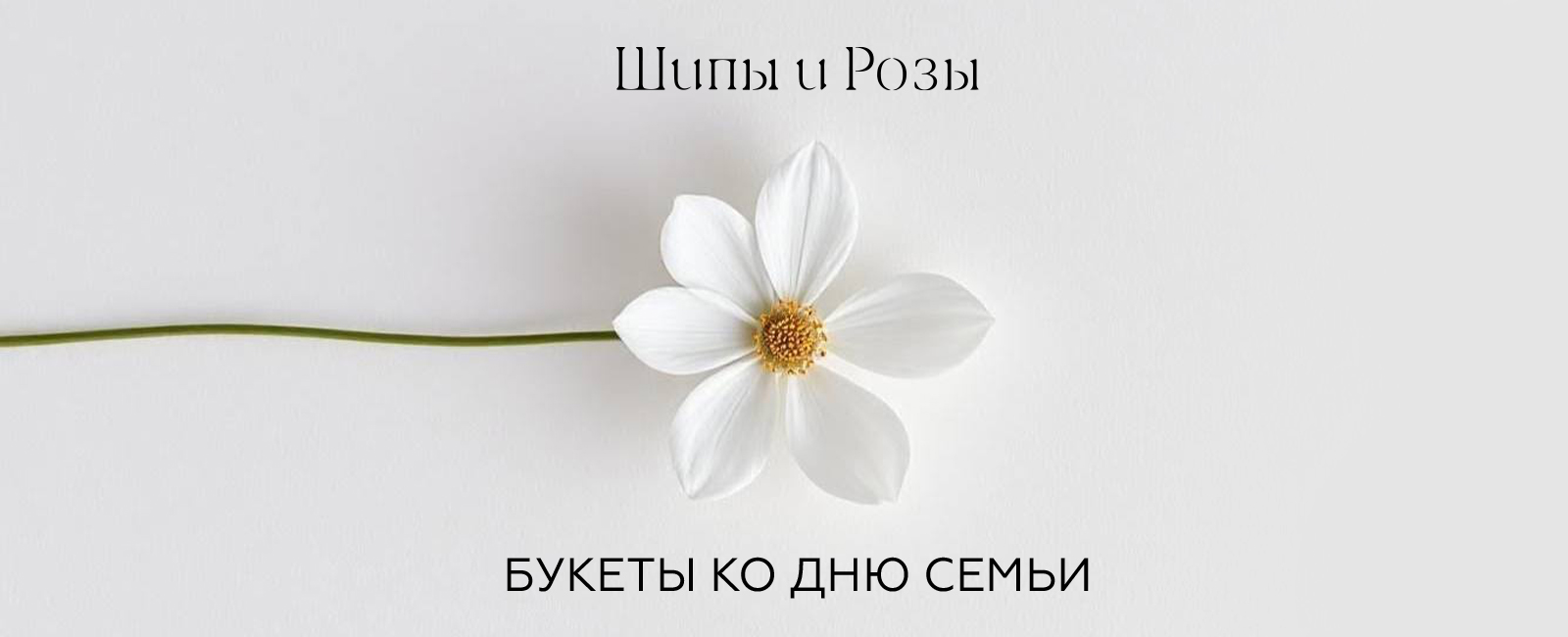 Букеты ко дню семьи