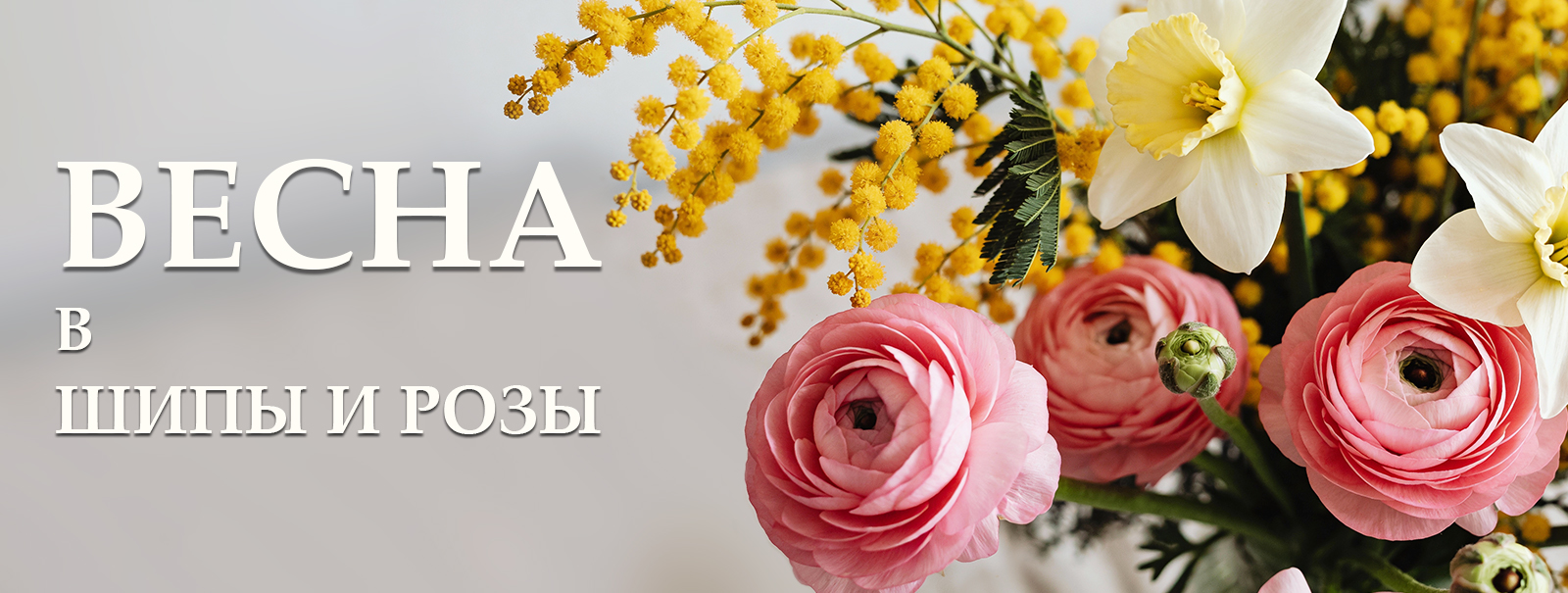 Весна в Шипы и Розы