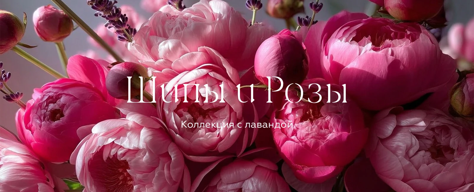 Лаванда