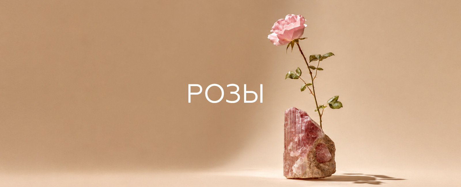 Розы