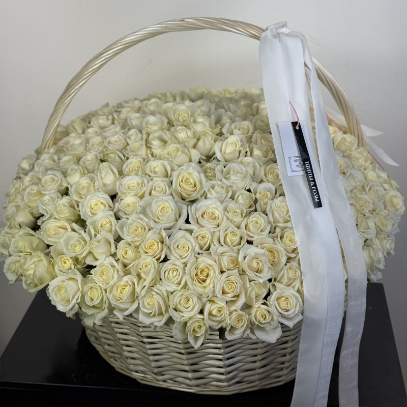 Корзина из 231 розы