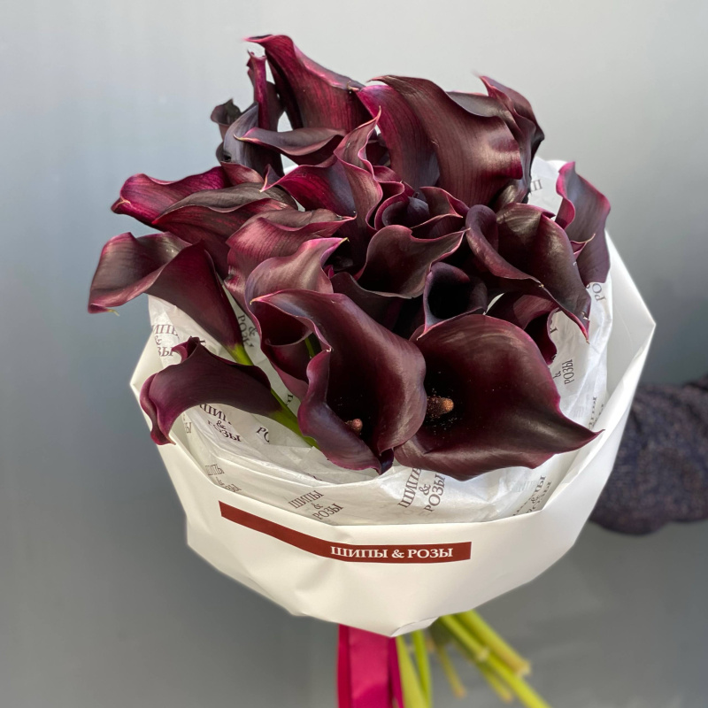 Ночной бархат